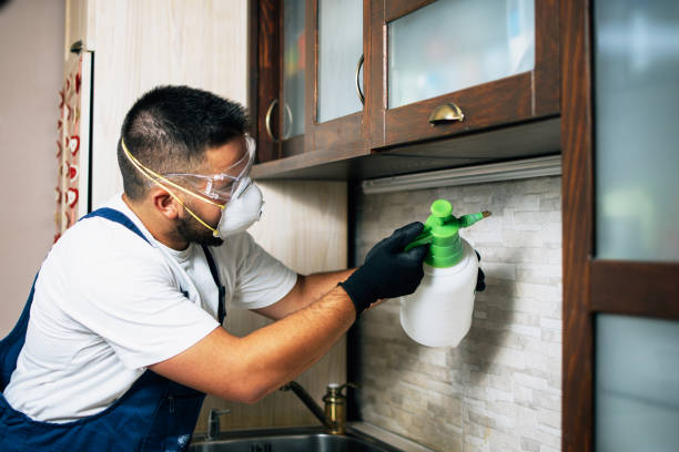 Best Mosquito Control Services  in Statham, GA