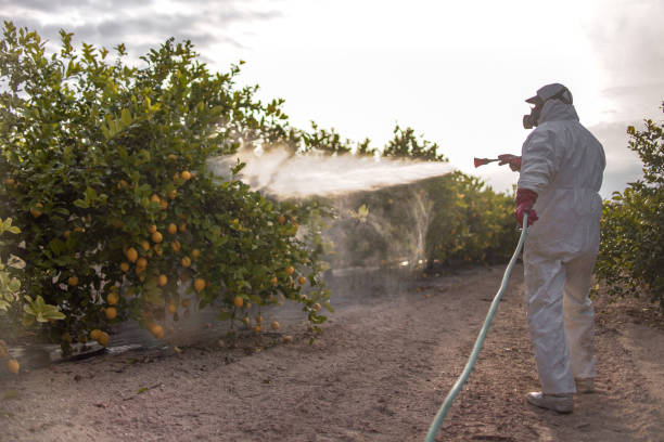 Flea Control Services in Statham, GA