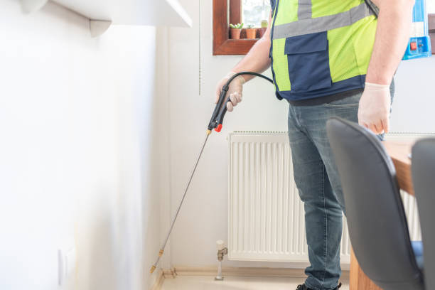 Best Flea Control Services  in Statham, GA
