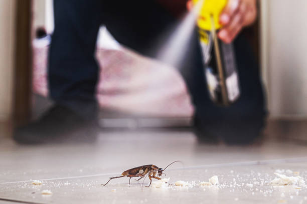 Pest Prevention Services in Statham, GA