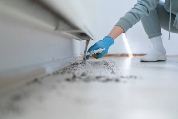 Professional Pest Control in Statham, GA